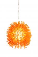 URCHIN