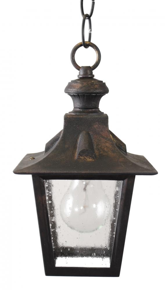 Avanti 1700 Series Hanging Model 1731 Small Outdoor Wall Lantern