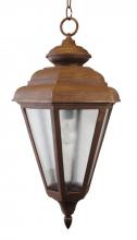 Melissa Lighting 1571 - Avanti 1500 Series Hanging Model 1571 Large Outdoor Wall Lantern