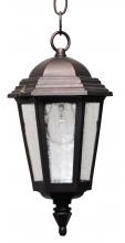 Melissa Lighting K2131 - Kiss Lighting K2100 Series Hanging Model K2131 Small Outdoor Wall Lantern