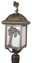 PALM TREE SERIES