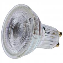 Flood Bulbs