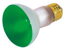 Other Bulbs
