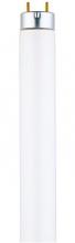 Fluorescent Light Bulbs