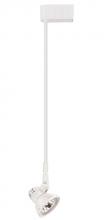 Elco Lighting ET534-48W - Electronic Low Voltage Clasp Accent Light with Stem Extension Track Fixture