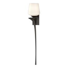 Hubbardton Forge 204710-SKT-LFT-14-GG0236 - Antasia Single Glass 1 Light Sconce