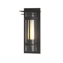 Hubbardton Forge 305996-SKT-20-ZS0654 - Torch Small Outdoor Sconce with Top Plate