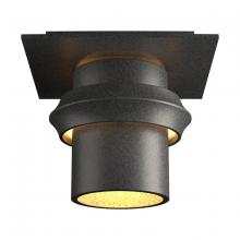 Hubbardton Forge 364901-SKT-20 - Twilight Small Dark Sky Friendly Outdoor Semi-Flush