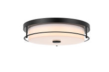 Elegant LD304F16BK - Kolson 16 inch LED Flush Mount in Black