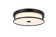 Elegant LD305F16BK - Kolson 16 inch LED Flush Mount in Black