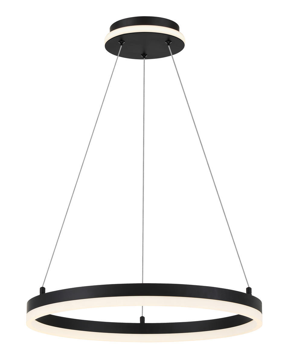 LED Pendant Fixture