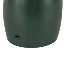 TL437409PGN_D.jpg
