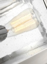 SF342PN_3_01.jpg
