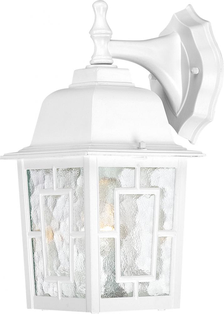 Banyan - 1 Light - 12" Outdoor Wall with Clear Water Glass; Color retail packaging