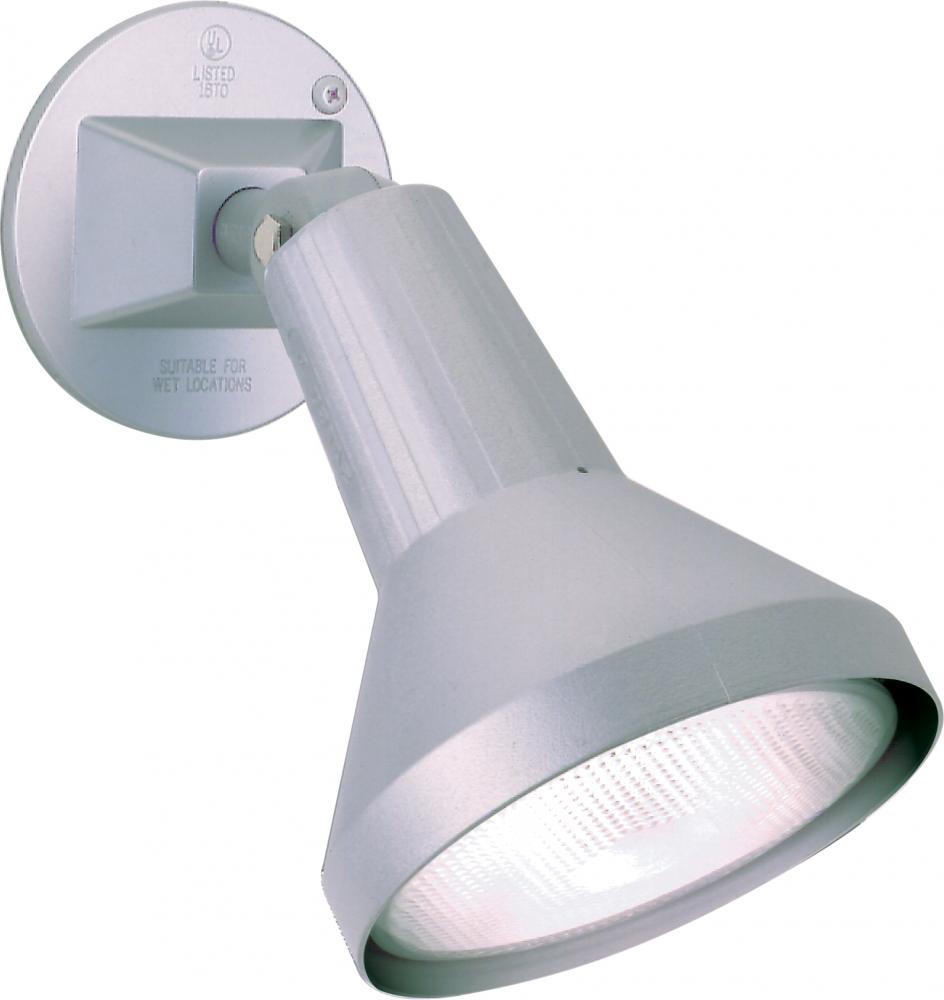 1 Light - 8" Flood Light PAR38 with Adjustable Swivel - Gray Finish