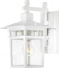 Nuvo 60/3491 - Cove Neck - 1 Light - 12" Outdoor Lantern with Clear Seed Glass; Color retail packaging