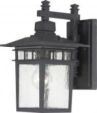 Nuvo 60/3493 - Cove Neck - 1 Light - 12" Outdoor Lantern with Clear Seed Glass; Color retail packaging