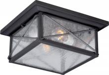 Exterior Flush mounts