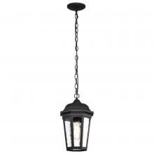 Nuvo 60/5944 - East River Collection Outdoor 14.5 inch Hanging Light; Matte Black Finish with Clear Water Glass