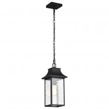 Nuvo 60/5996 - AUSTEN 1LT OUTDOOR HANGING