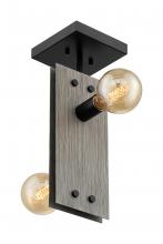 Nuvo 60/7231 - Stella - 2 Light Semi-Flush with- Driftwood and Black Accents Finish