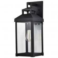 Nuvo 60/7372 - CORNING 1 LT LG WALL LANTERN