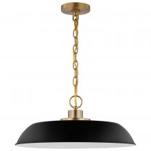 Nuvo 60/7484 - COLONY 1 LIGHT MEDIUM PENDANT