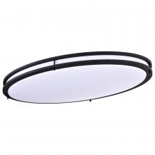 Other Flush Mounts