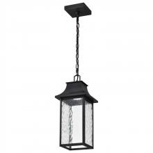 Outdoor Pendants