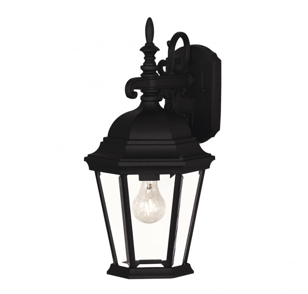 1-Light Outdoor Wall Lantern in Black