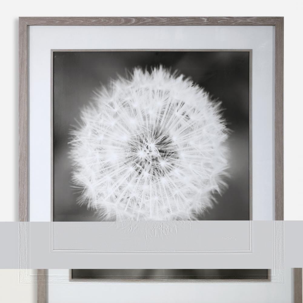 Uttermost Dandelion Seedhead Framed Print