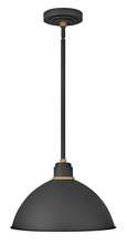 Hinkley 10685TK - Large Convertible Pendant Barn Light