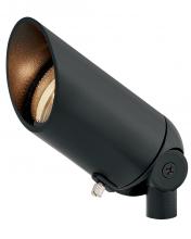 ACCENT SPOT LIGHT