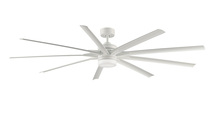 Ceiling Fans with Light