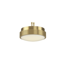 Fanimation LK8561BS - Kute Ceiling Fan Knurled Correlated Color Temperature Select LED Light Kit - Brushed Satin Brass